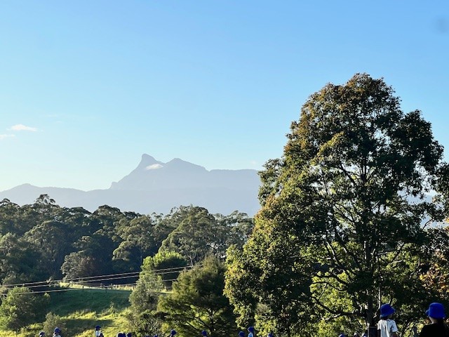 photo5.jpg